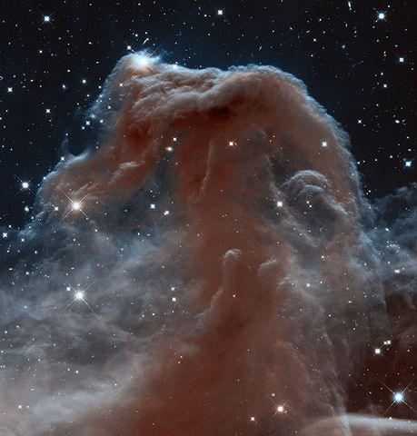 "Hubble Sees a Horsehead of a Different Color" by ESA/Hubble. Licensed under CC BY 3.0 via Wikimedia Commons - http://commons.wikimedia.org/wiki/File:Hubble_Sees_a_Horsehead_of_a_Different_Color.jpg#/media/File:Hubble_Sees_a_Horsehead_of_a_Different_Color.jpg